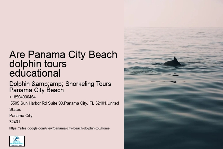 Top 20 Panama City Beach Dolphin Cruises & Tours 2024