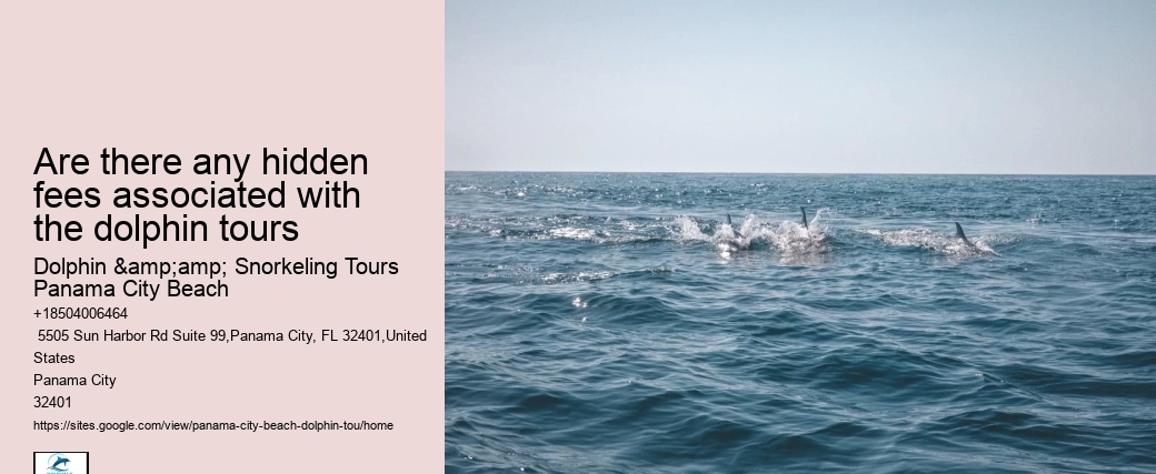 Are there any hidden fees associated with the dolphin tours