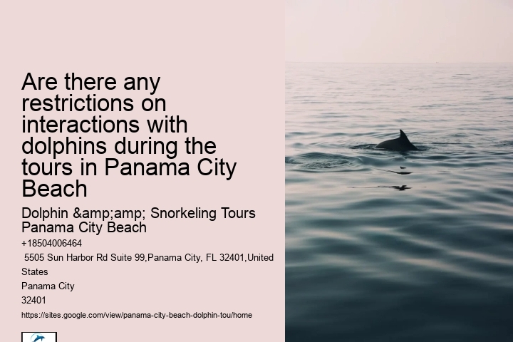 What Time Of Day Are Dolphins Most Active