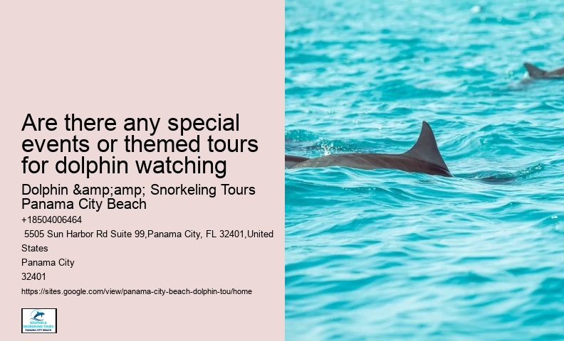 Shell Island Trips & Dolphin Tours