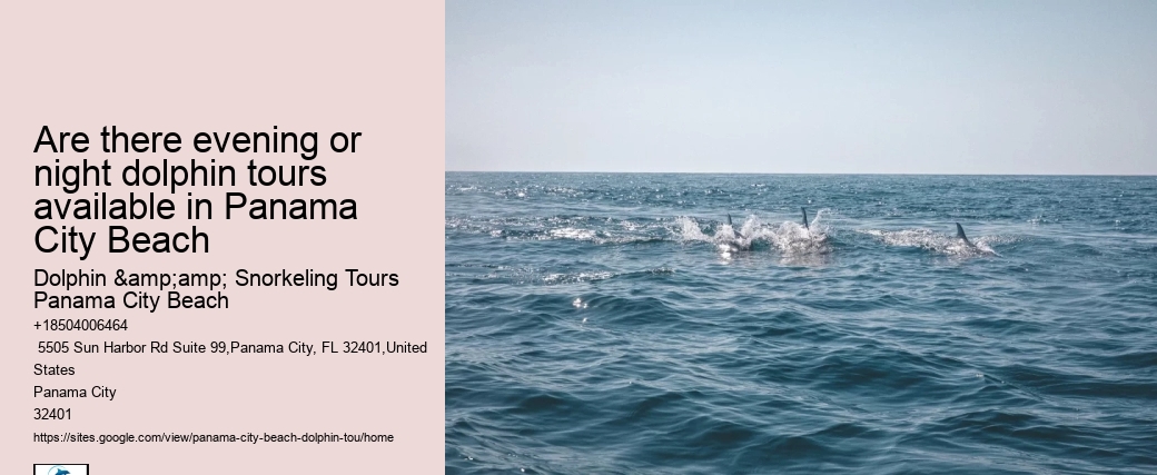 Can I take photos during the dolphin tour in Panama City Beach