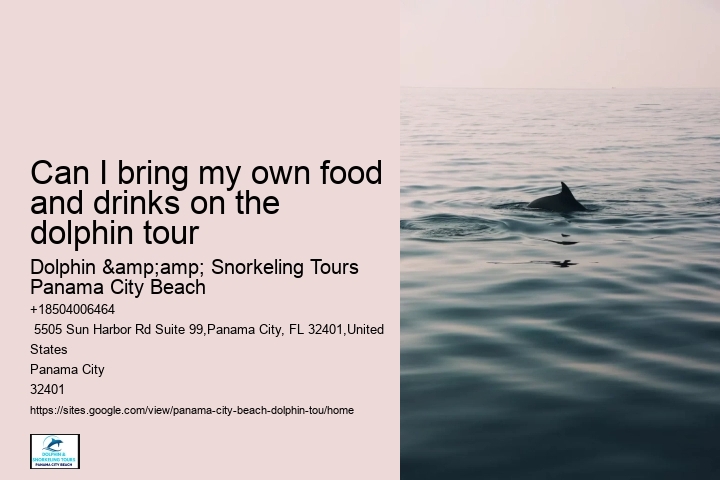 Panama City Beach dolphin safari