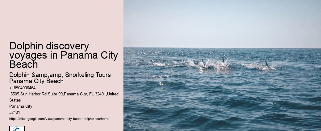 Are Dolphins At Panama City Beach