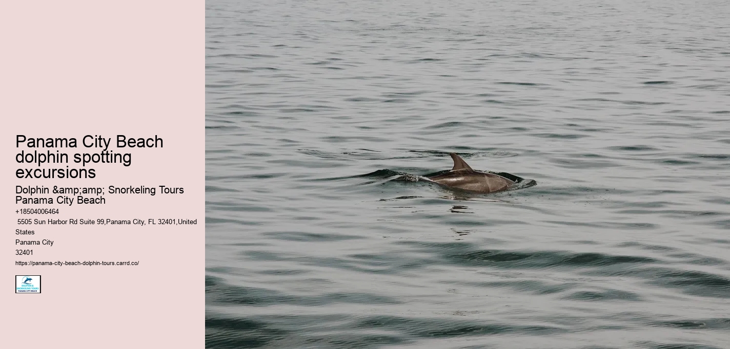 Panama City Beach dolphin spotting excursions