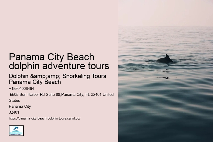 Panama City Beach Dolphin