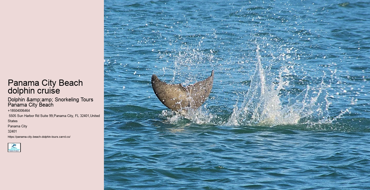 Best Panama City Beach Boat Tours