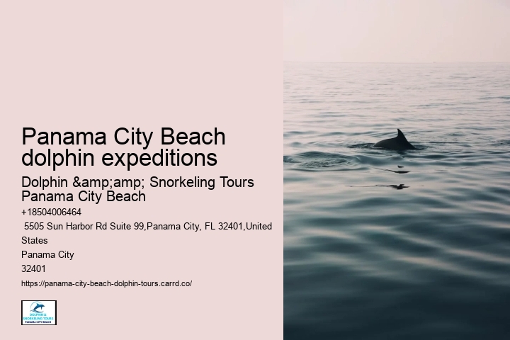 Panama City Beach Dolphin Voyage Tours