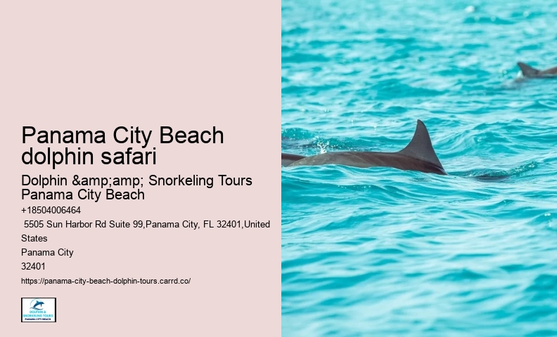 City Beach Dolphin Tours