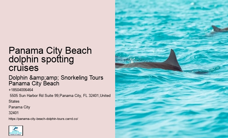 How close do the dolphin boats get to the dolphins in Panama City Beach