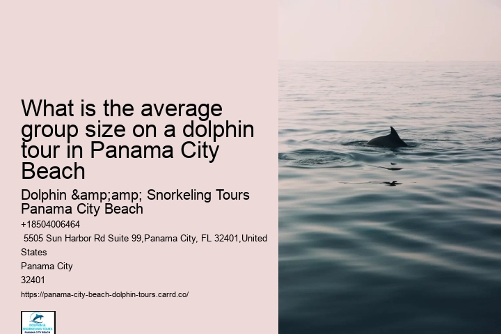 What is the average group size on a dolphin tour in Panama City Beach